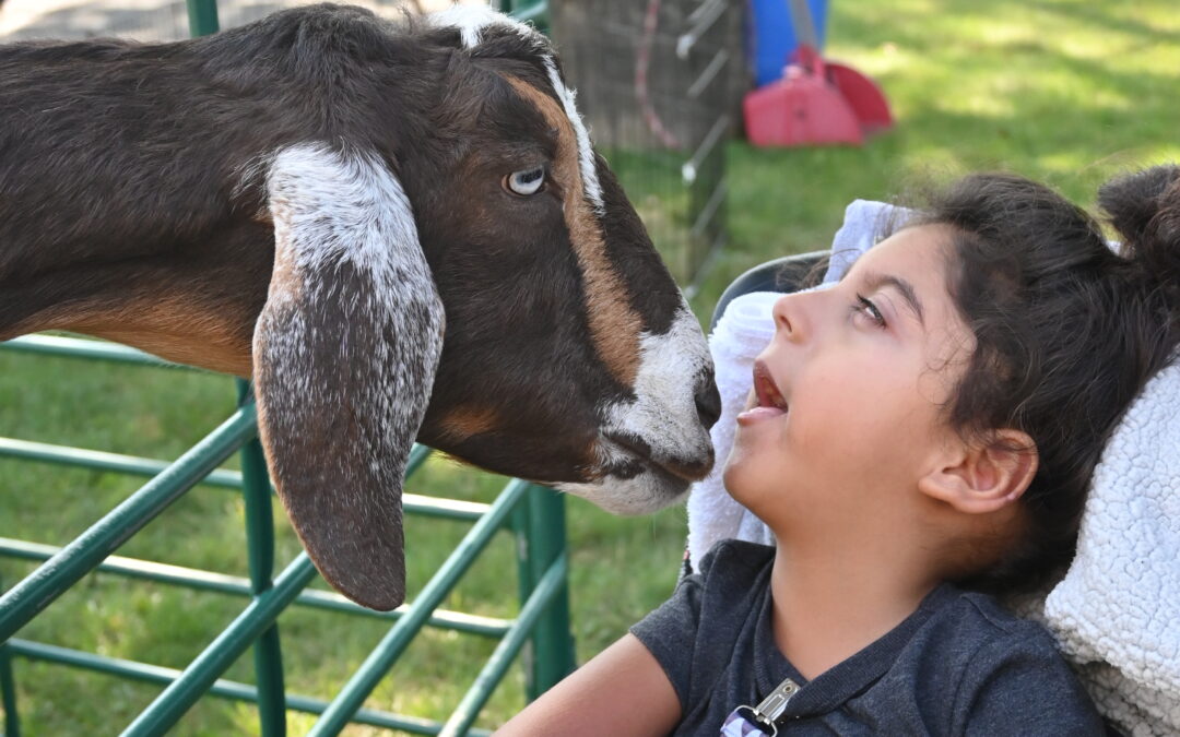 The Farm Comes to CLC! 